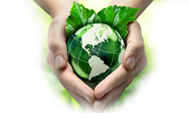 Cost Efficiency and Environmental Compliance